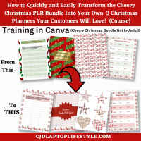 Christmas PLR  Bundle Transformation Course